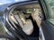 2011 Lexus CT 200h Premium